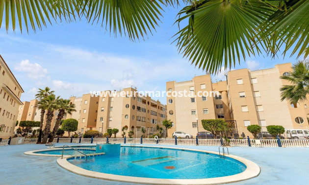Objekte zum Wiederverkauf - Wohnung - Torrevieja - TORREVIEJA