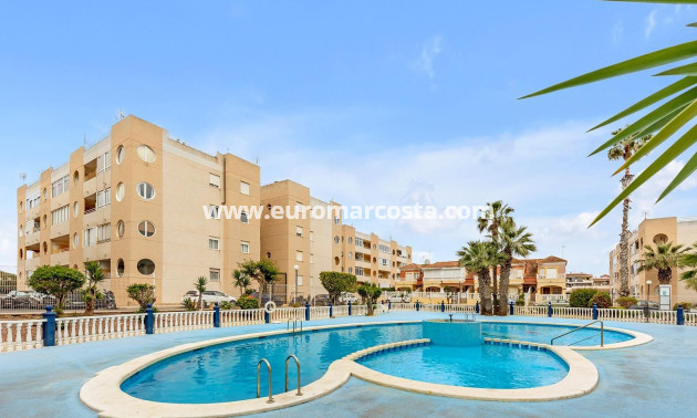 Objekte zum Wiederverkauf - Wohnung - Torrevieja - TORREVIEJA