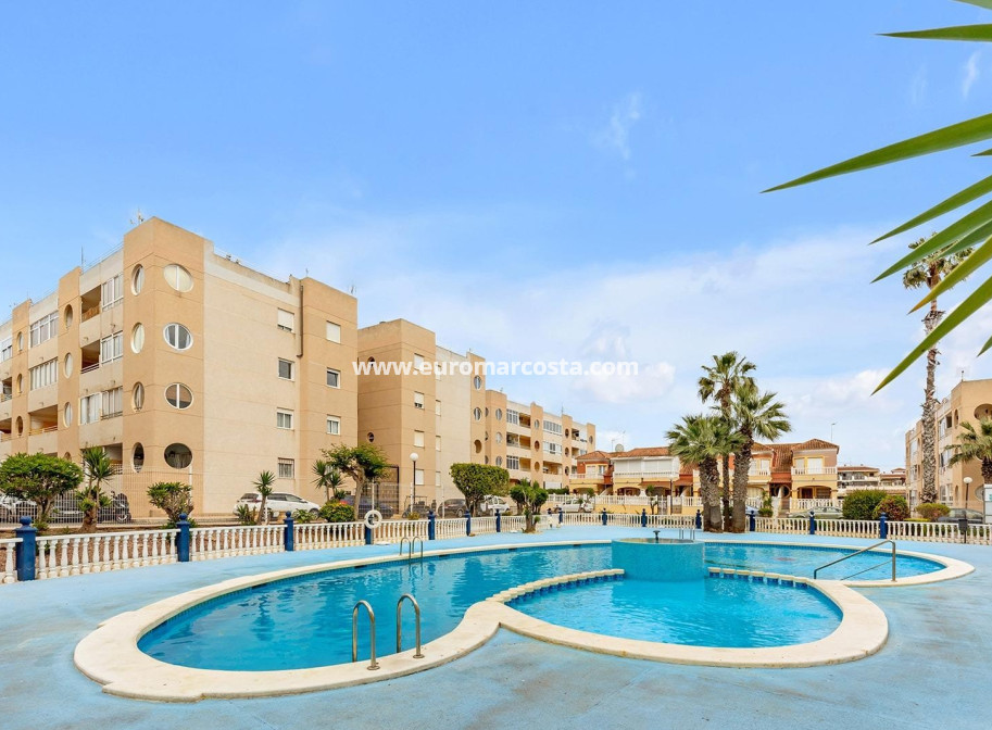 Objekte zum Wiederverkauf - Wohnung - Torrevieja - TORREVIEJA