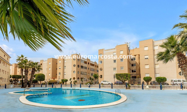 Objekte zum Wiederverkauf - Wohnung - Torrevieja - TORREVIEJA