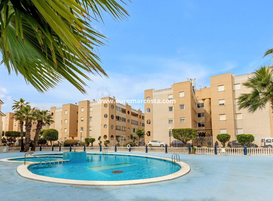 Objekte zum Wiederverkauf - Wohnung - Torrevieja - TORREVIEJA