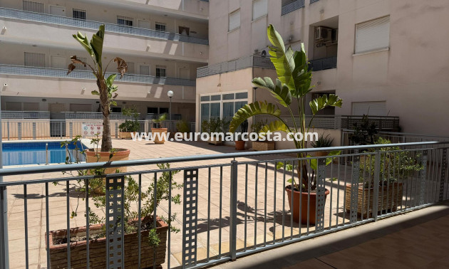 Sale - Apartment / flat - Almoradi - Almoradí