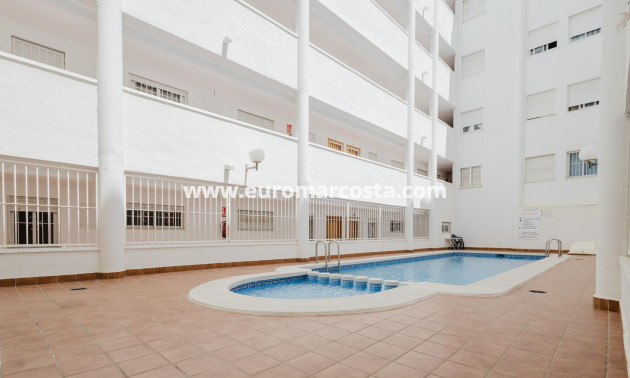 Objekte zum Wiederverkauf - Wohnung - Torrevieja - TORREVIEJA