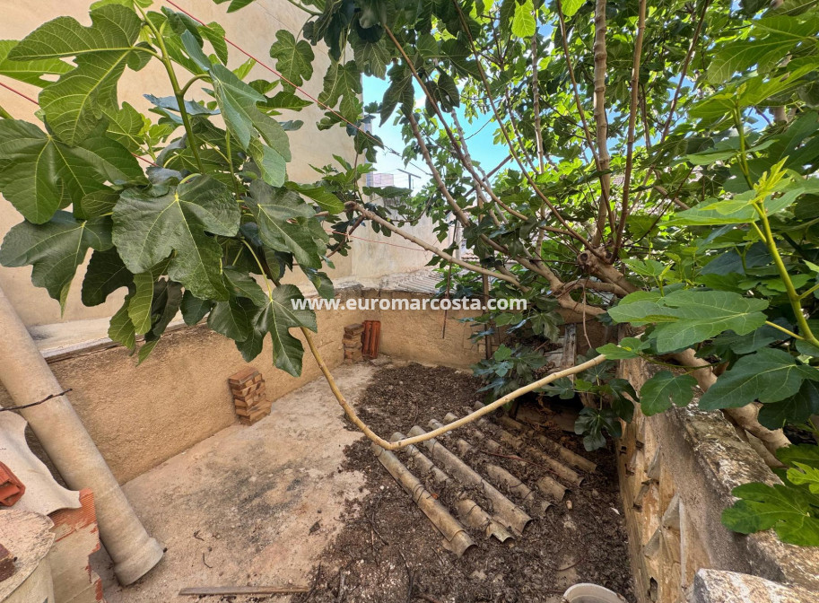 Sale - Casa - Benejúzar