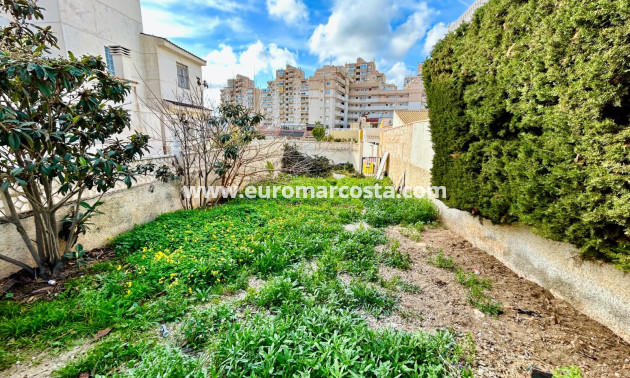 Objekte zum Wiederverkauf - Grundstück / Grundstück - Torrevieja - TORREVIEJA