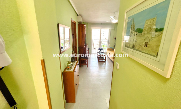 Sale - Apartment / flat - Torrevieja - TORREVIEJA