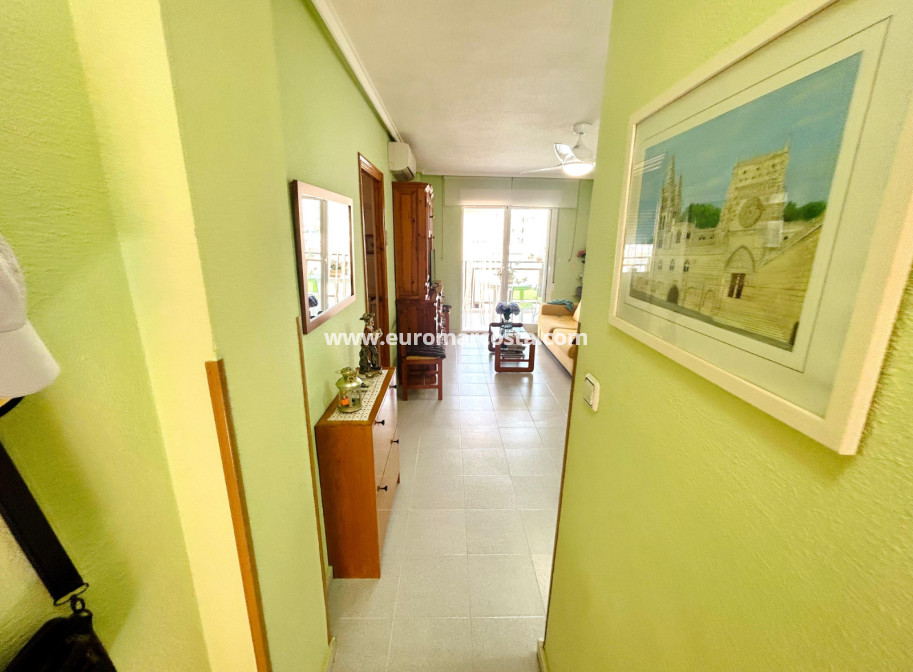 Sale - Apartment / flat - Torrevieja - TORREVIEJA