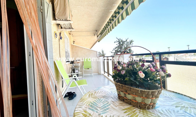 Sale - Apartment / flat - Torrevieja - TORREVIEJA