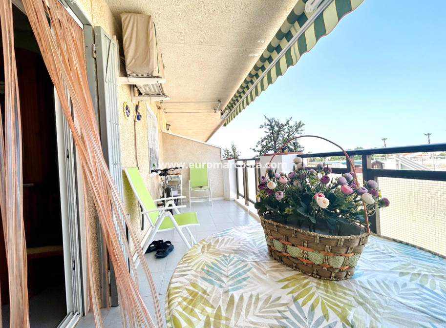 Sale - Apartment / flat - Torrevieja - TORREVIEJA