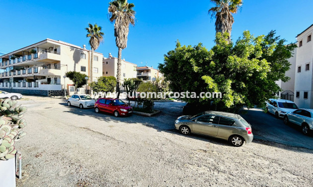 Sale - Apartment / flat - Torrevieja - TORREVIEJA