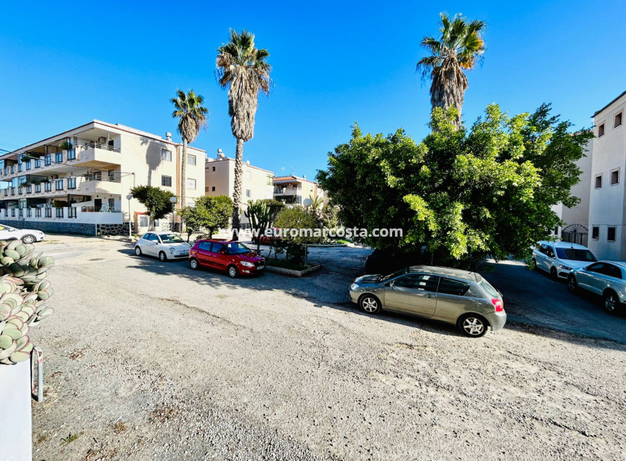 Sale - Apartment / flat - Torrevieja - TORREVIEJA