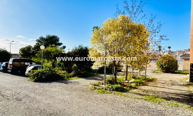 Sale - Apartment / flat - Torrevieja - TORREVIEJA