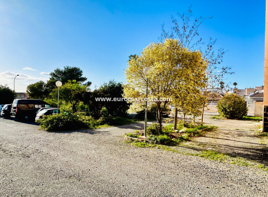Sale - Apartment / flat - Torrevieja - TORREVIEJA