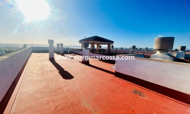 Sale - Apartment / flat - Torrevieja - TORREVIEJA
