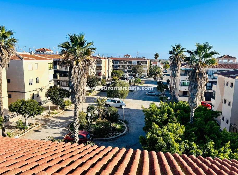 Sale - Apartment / flat - Torrevieja - TORREVIEJA