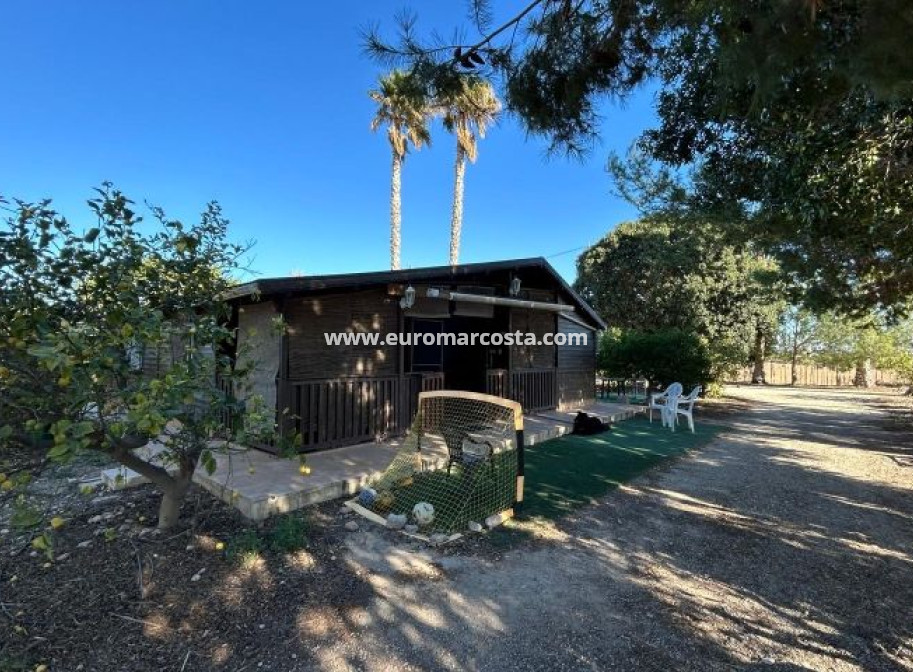 Venta - Casa de campo - Orihuela