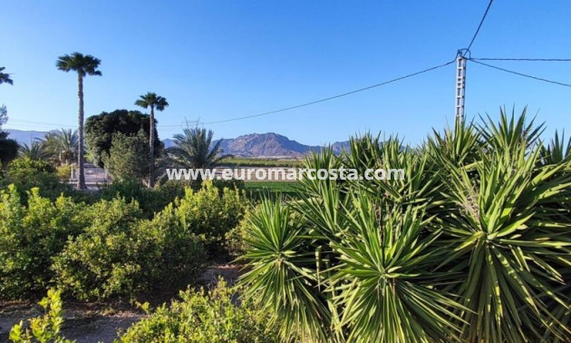 Venta - Casa de campo - Orihuela
