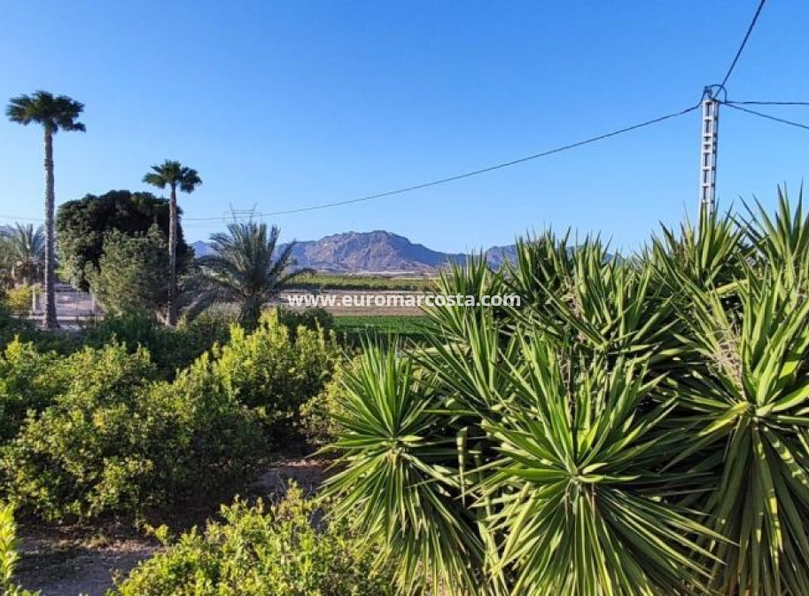 Venta - Casa de campo - Orihuela