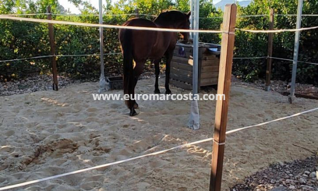 Venta - Casa de campo - Orihuela