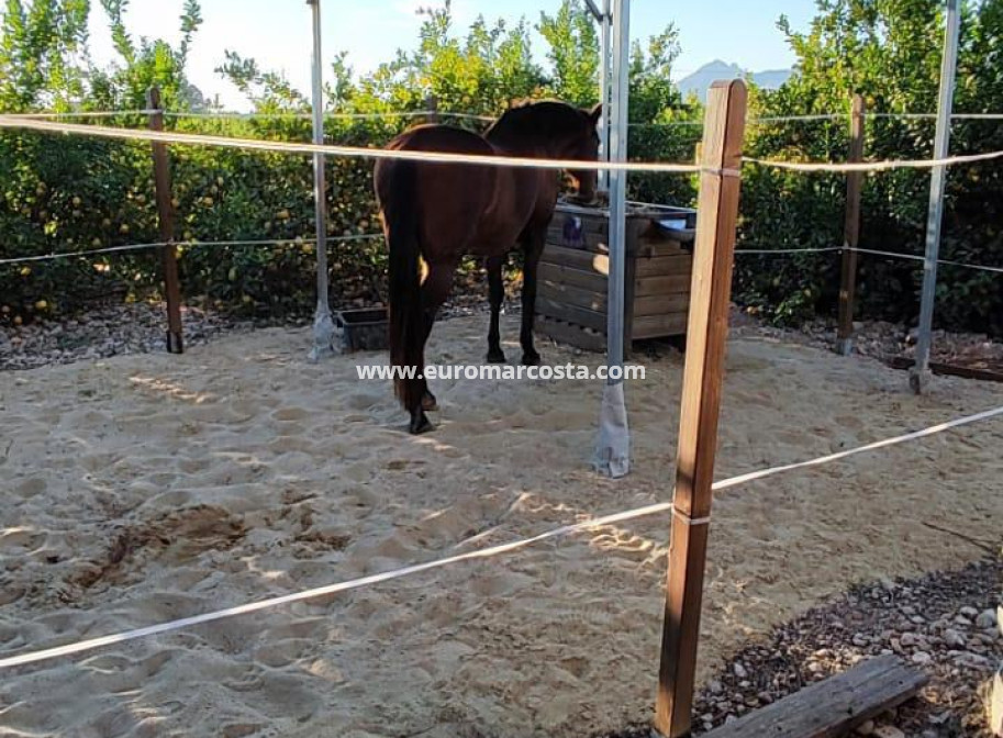 Venta - Casa de campo - Orihuela