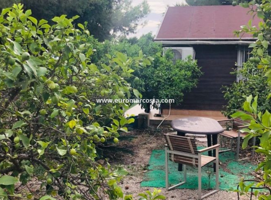 Venta - Casa de campo - Orihuela