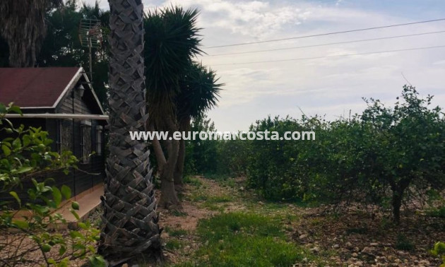 Venta - Casa de campo - Orihuela