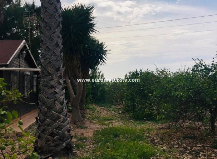 Venta - Casa de campo - Orihuela