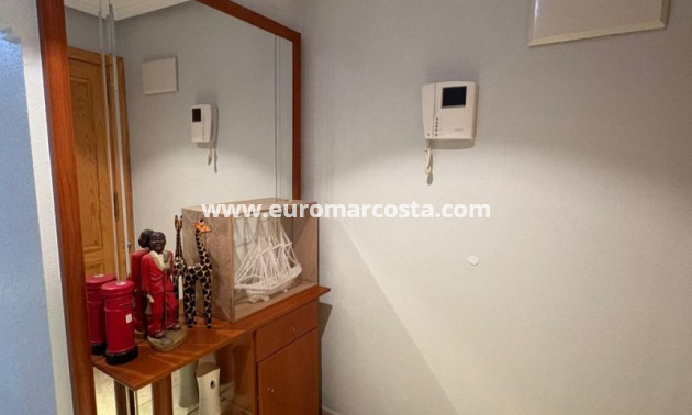 Objekte zum Wiederverkauf - Wohnung - Torrevieja - TORREVIEJA