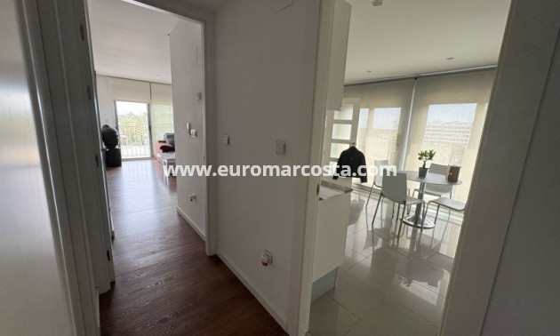Objekte zum Wiederverkauf - Wohnung - Elche - Elche/Elx
