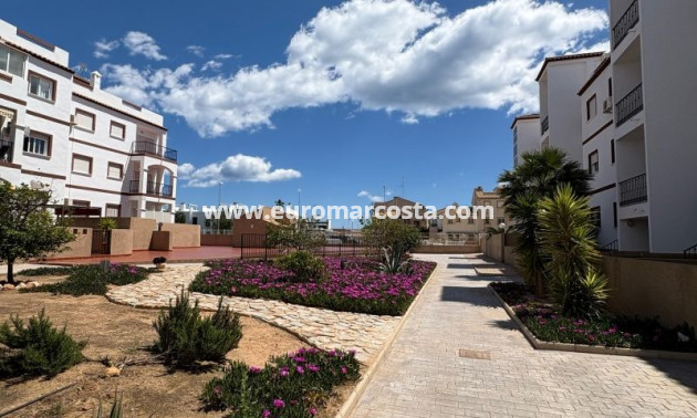 Venta - Apartamento / piso - Orihuela Costa