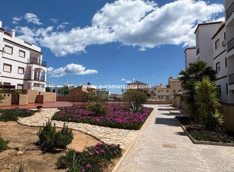 Venta - Apartamento / piso - Orihuela Costa