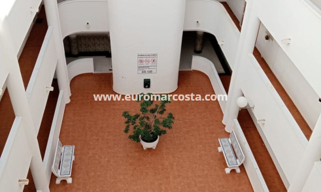 Objekte zum Wiederverkauf - Wohnung - Torrevieja - TORREVIEJA