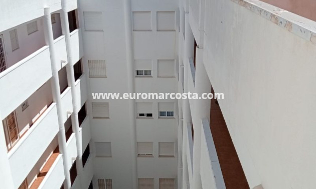 Objekte zum Wiederverkauf - Wohnung - Torrevieja - TORREVIEJA