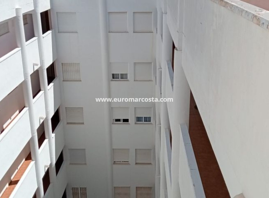 Objekte zum Wiederverkauf - Wohnung - Torrevieja - TORREVIEJA