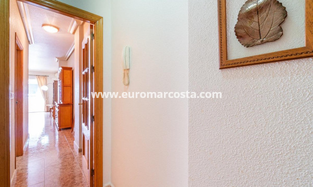 Venta - Apartamento / piso - Torrevieja - TORREVIEJA