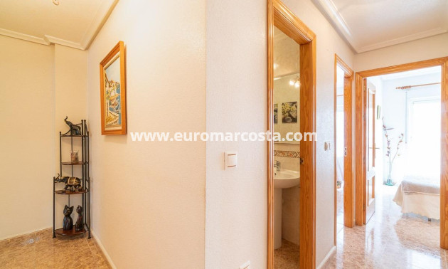 Venta - Apartamento / piso - Torrevieja - TORREVIEJA