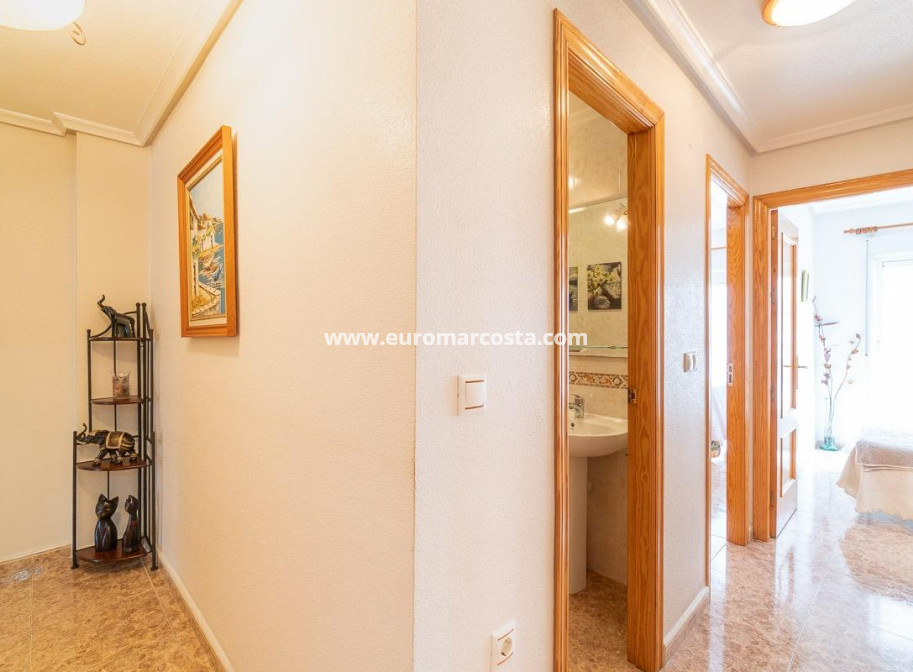 Venta - Apartamento / piso - Torrevieja - TORREVIEJA