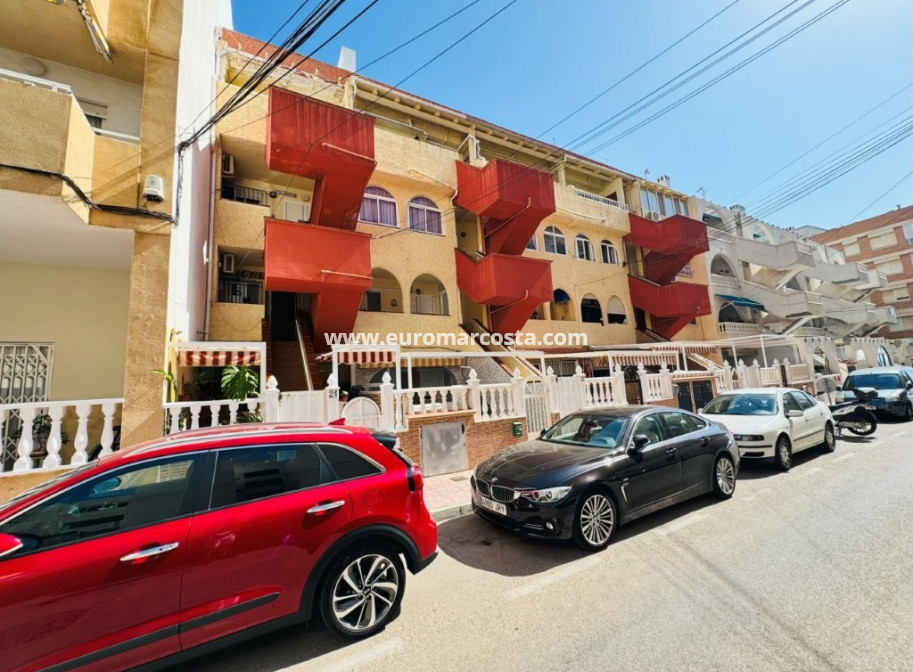 Sale - Apartment / flat - La Mata