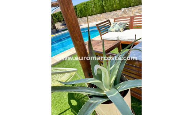 Sale - Villa / Detached - Ciudad Quesada - Quesada Center