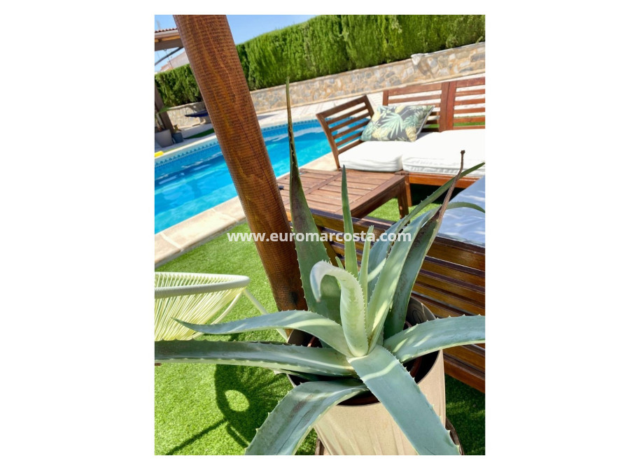 Sale - Villa / Detached - Ciudad Quesada - Quesada Center