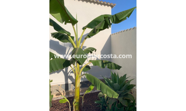 Sale - Villa / Detached - Ciudad Quesada - Quesada Center