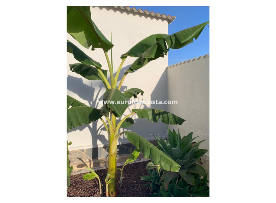Sale - Villa / Detached - Ciudad Quesada - Quesada Center