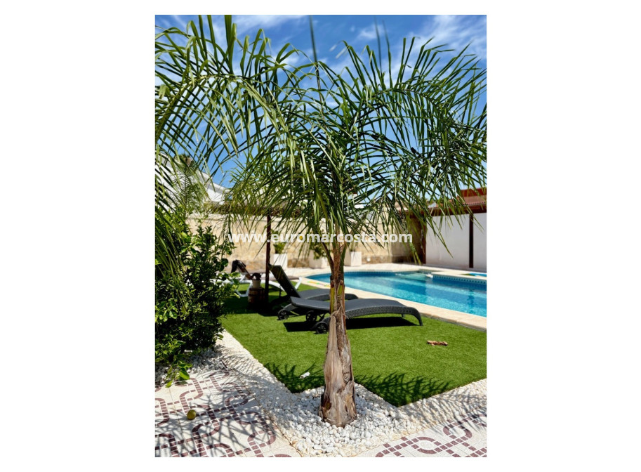 Sale - Villa / Detached - Ciudad Quesada - Quesada Center
