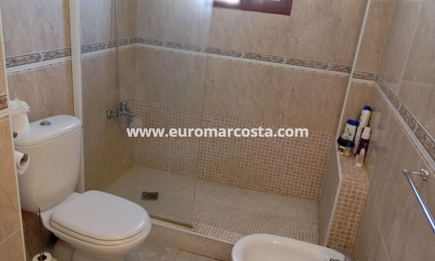 Venta - Apartamento / piso - Daya Vieja