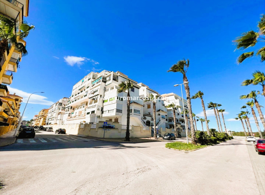 Sale - Apartment / flat - La Mata