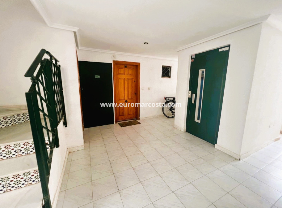 Sale - Apartment / flat - La Mata