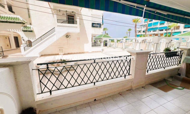 Sale - Apartment / flat - La Mata