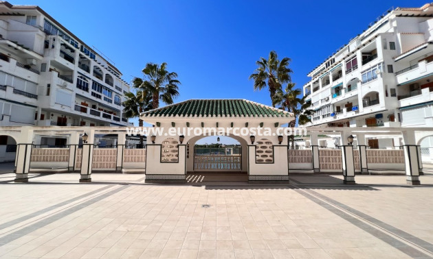 Sale - Apartment / flat - La Mata