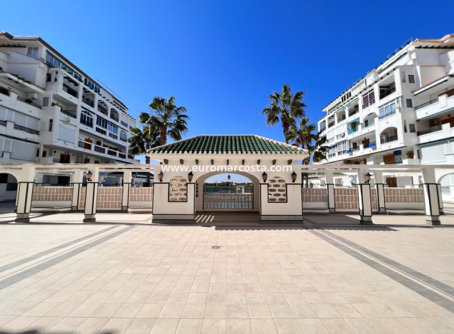 Sale - Apartment / flat - La Mata