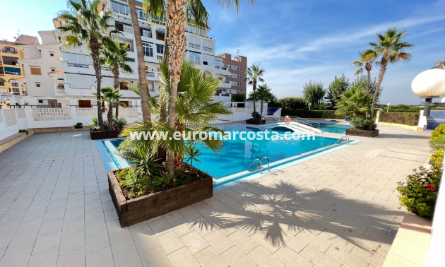 Sale - Apartment / flat - La Mata